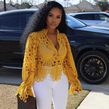 New Elegant Long Sleeve Hollowed Out, Sheer Mesh Lace Shirt